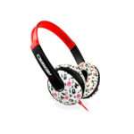 Aerial Arcade Asteroid