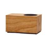 Tivoli Audio Companion Speaker